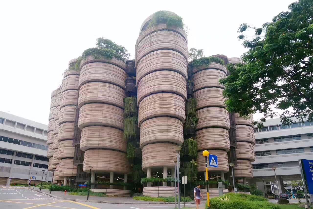 新加坡南洋理工大学申请要求