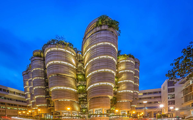 南洋理工大学介绍